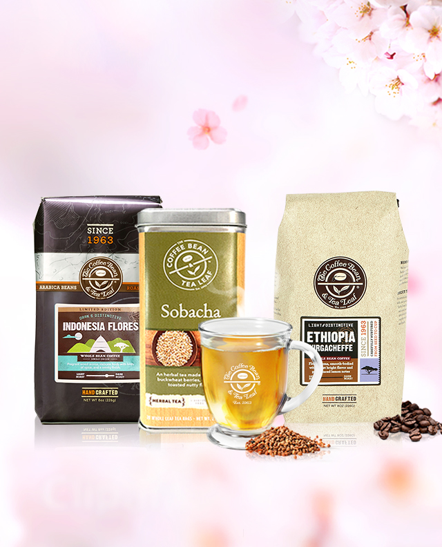 커피빈 소식 COFFEE BEAN KOREA