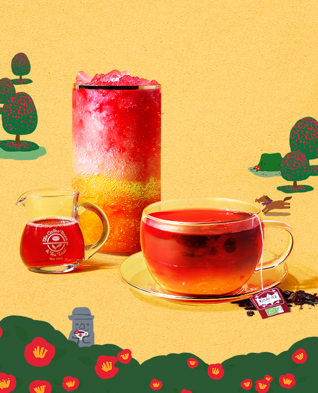 커피빈 소식 | COFFEE BEAN KOREA 2022 08 두번째 제주를 담다.