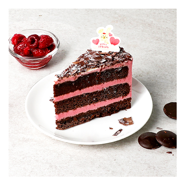 Berry Choco Fudge Cake