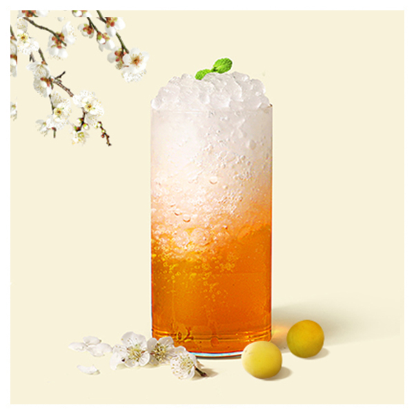 Sparkling Gwangyang Golden Plum Blossom Tea